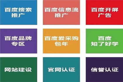 竞价排名在电商行业的实战案例
